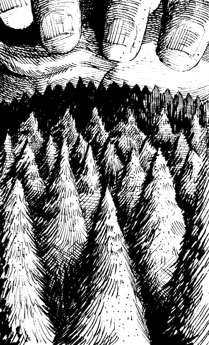 Take It All Web. Traditional artwork by Neil Saldana-O'Brien.