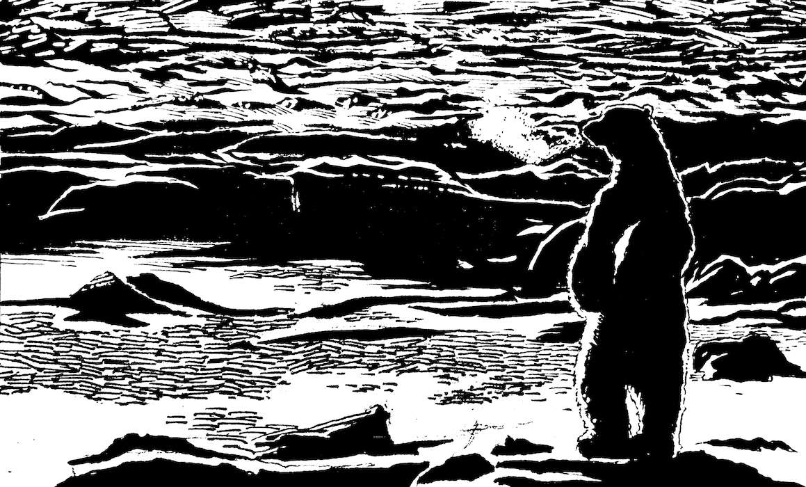 Inch By Inch Web. Traditional artwork by Neil Saldana-O'Brien.