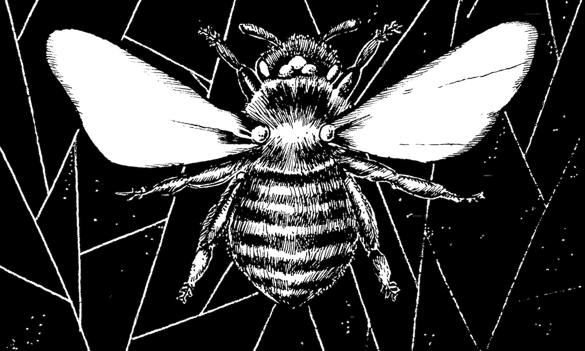 Imma Bee Web. Traditional artwork by Neil Saldana-O'Brien.