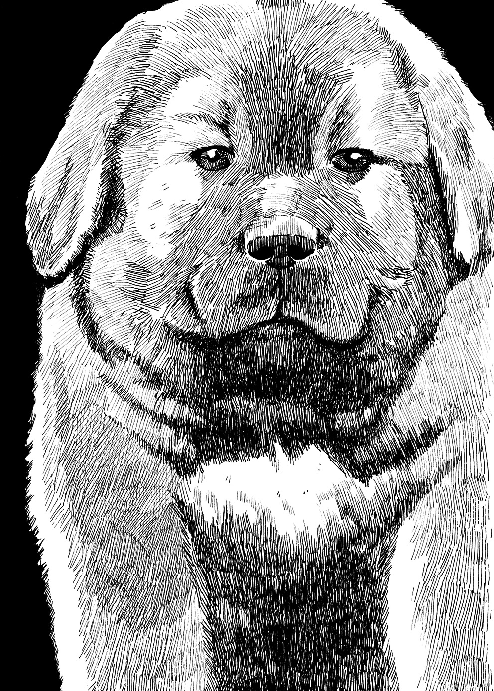 Good-boy. Traditional artwork by Neil Saldana-O'Brien.