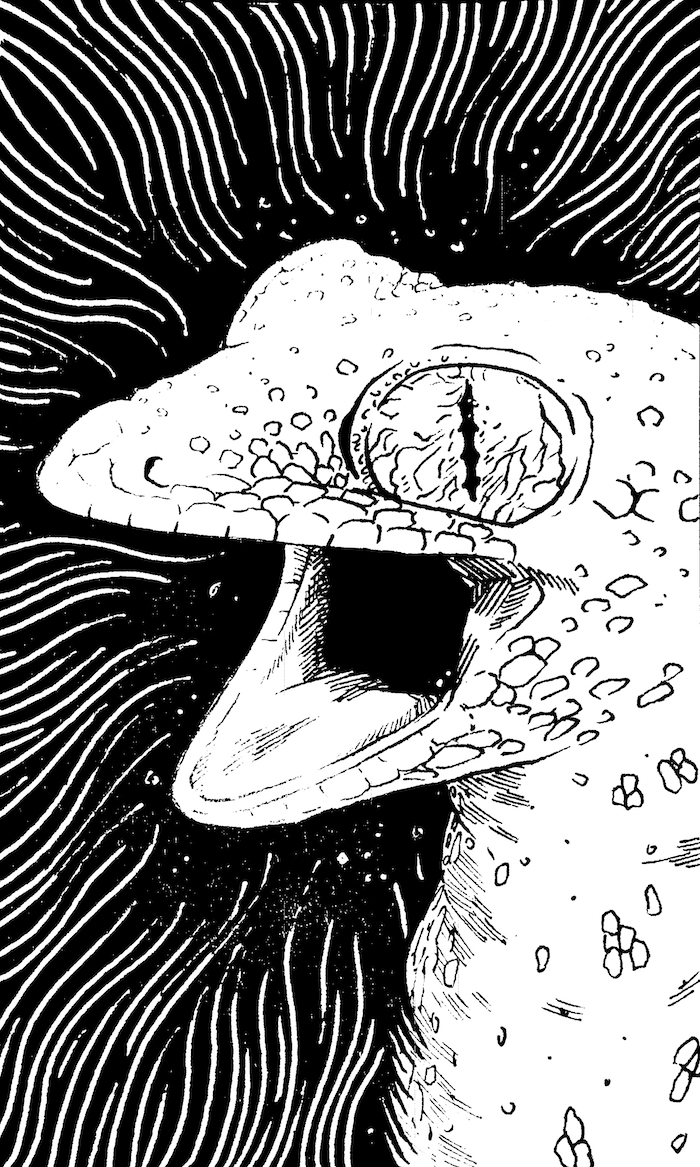 Its Ya Boi Web. Traditional artwork by Neil Saldana-O'Brien.