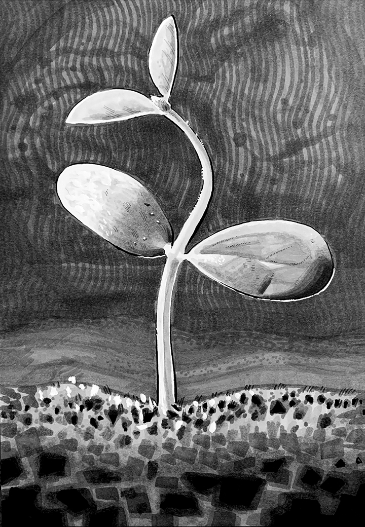 Bean Sprout. Traditional artwork by Neil Saldana-O'Brien.