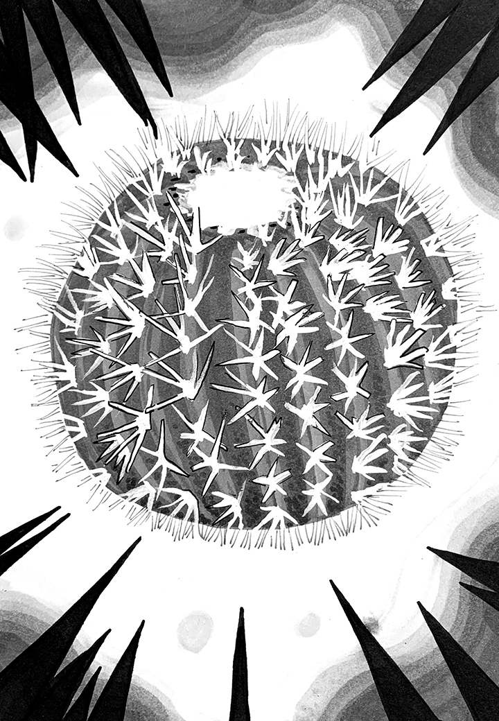 Barrel Cactus. Traditional artwork by Neil Saldana-O'Brien.